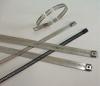 SS Ladder Cable Ties