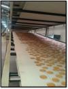 Cooling Conveyors